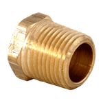 Plug 1/2" Brass
