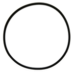 O Ring for Filter Housing, Big Blue 10 inch