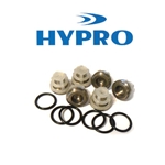 Valve Kit Hypro 2414B Pump