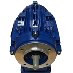 Motor 0.25HP Arch Rotate LW360