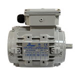 Motor 0.25HP Arch Rotate LW360 NEW