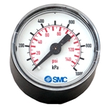 Gauge 0-1000kPa for AW2000