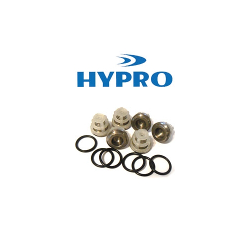 Valve Kit Hypro 2414B Pump